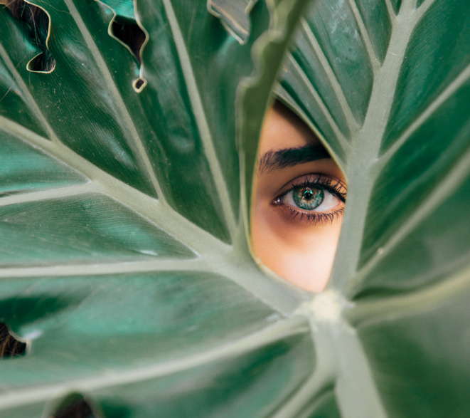 An eye among the leaves represents EuroItalia's careful selection of ingredients across the entire value chain.